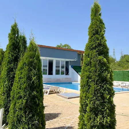 за гости Dream