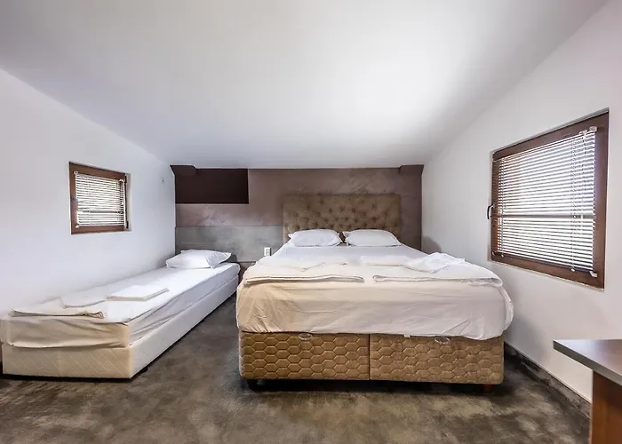 за гости Dream 4*